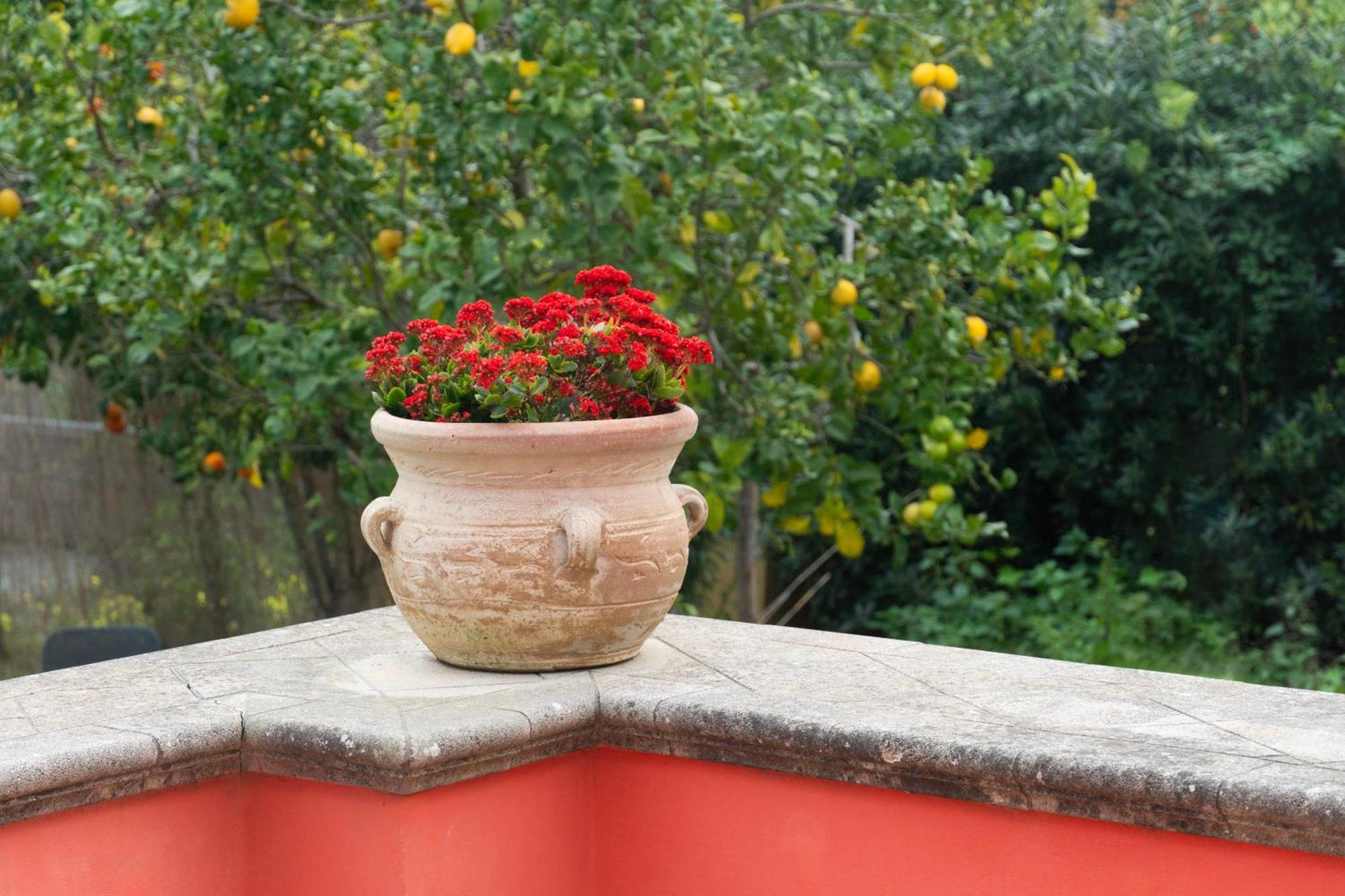 La Terrazza Sul Giardino Apartman Procida Kültér fotó